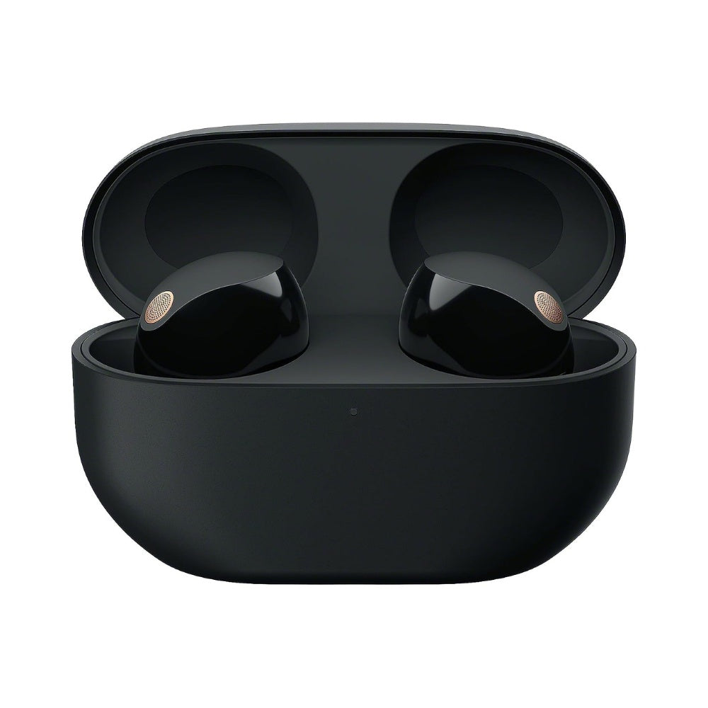 Sony WF-1000XM5 Noise Canceling Earbuds - Black image
