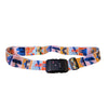 Coteci Customs Lock Buckle Luggage Strap Tag Set - World Landmarks