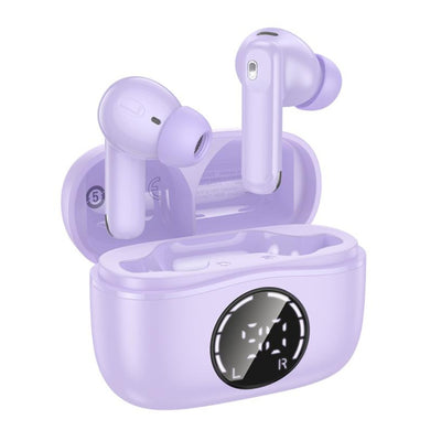Hoco ANC ENC Noise Reduction Earbuds EQ22