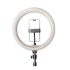 Rtako 10-inch Ring Light with Phone Holder AR-GTB06-10 image 0