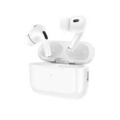 Hoco ANC and ENC Earbuds EW69