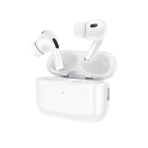 Hoco ANC and ENC Earbuds EW69